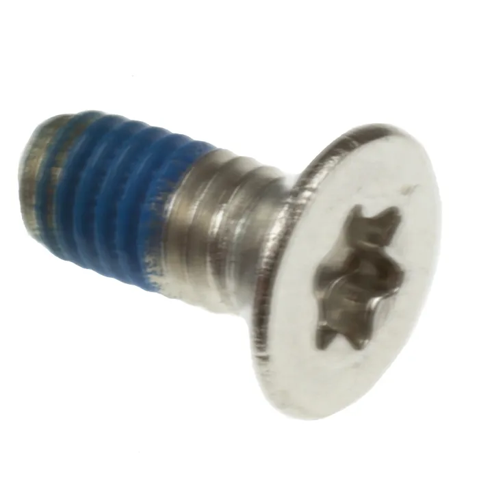 SCREW 6X14MM FH TORX INOX